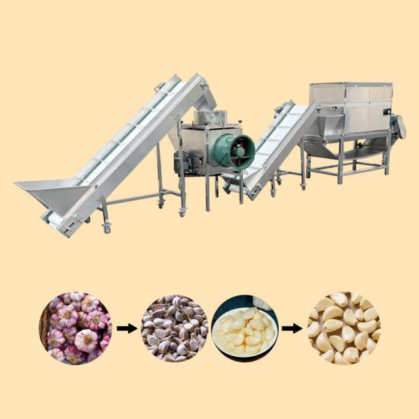 Food Grade Stainless Steel Garlic Peeling Line, Multi-Function Garlic Peeling Machine for Garlic Processing